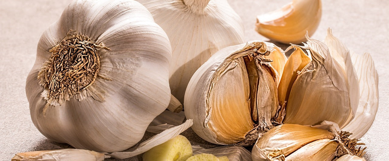 The Role of Garlic Capsules in Supporting Healthy Blood Pressure