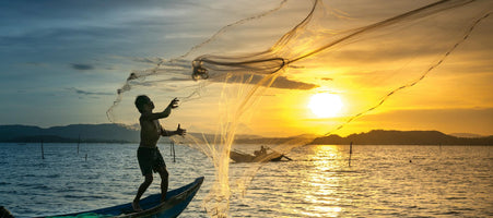 EPA or DHA? All you need to know about Omega 3 Fatty Acids