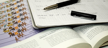 Best Supplements for Focus, Memory, and Brain Health