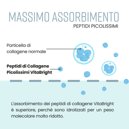 Collagene in Polvere