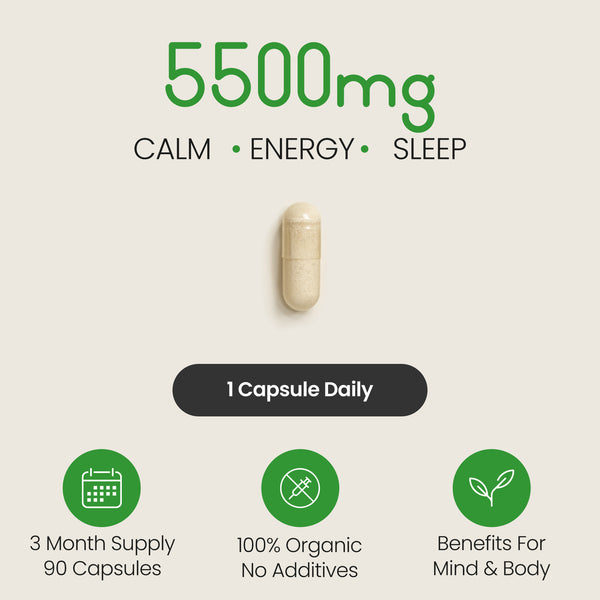 Ashwagandha KSM-66 Capsule