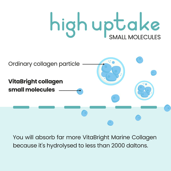 Marine Collagen High Absorption _en